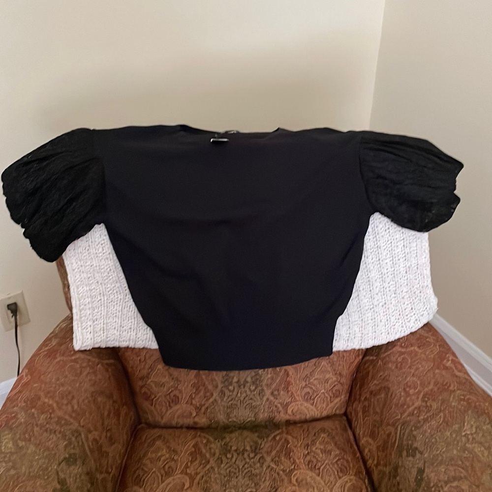 Express short sleeved sweater